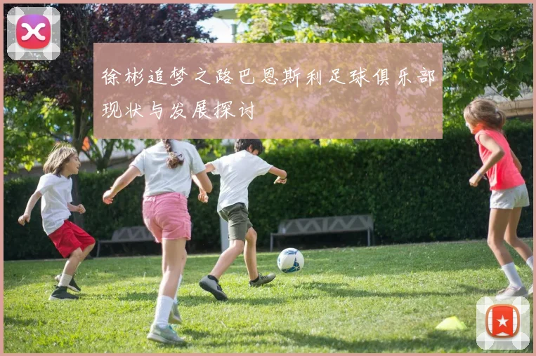 徐彬追梦之路巴恩斯利足球俱乐部现状与发展探讨